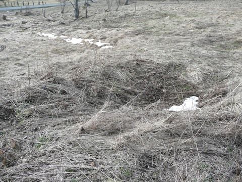 Foto 196